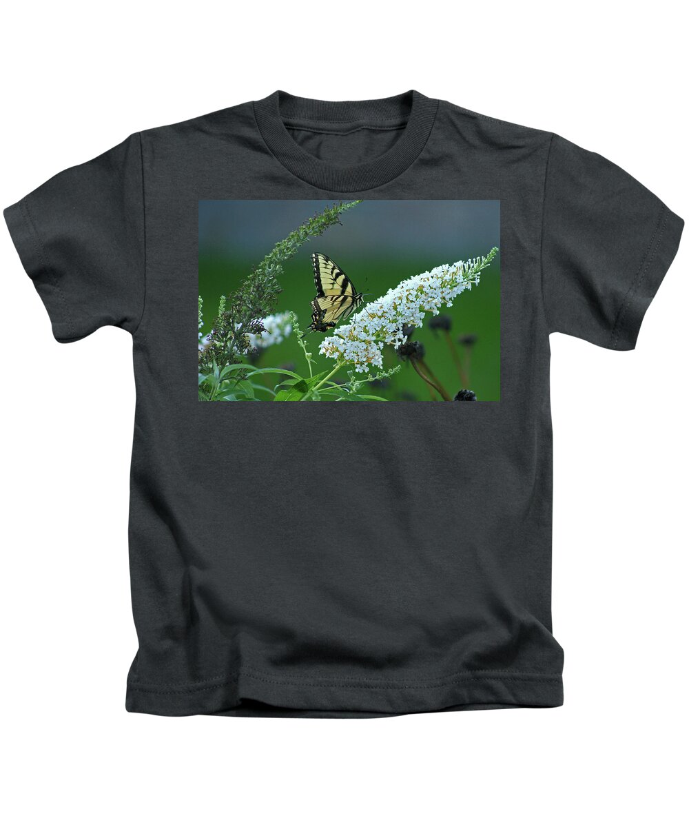Butterfly Kids T-Shirt featuring the photograph Swallowtail by Ira Marcus