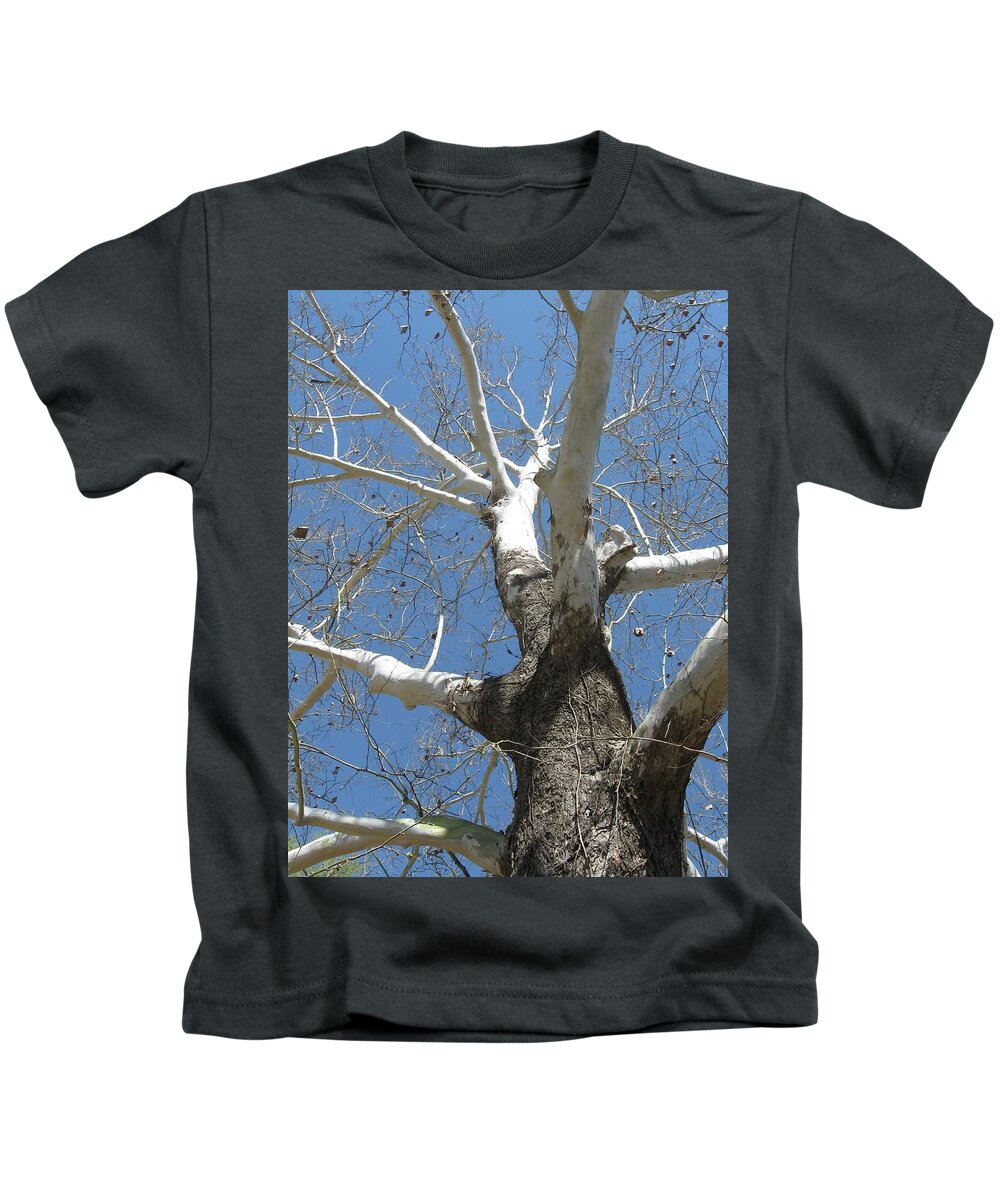Trees Kids T-Shirt featuring the photograph Sycamore's Calendar by Judith Lauter