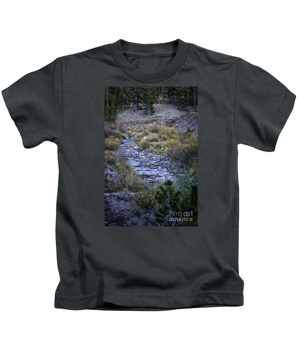 California Kids T-Shirt featuring the photograph Dry Creek by Timothy Hacker