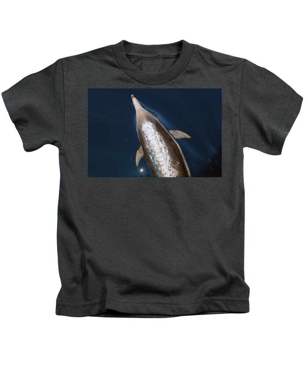 Porpoise Kids T-Shirt featuring the photograph talking Back by David Shuler