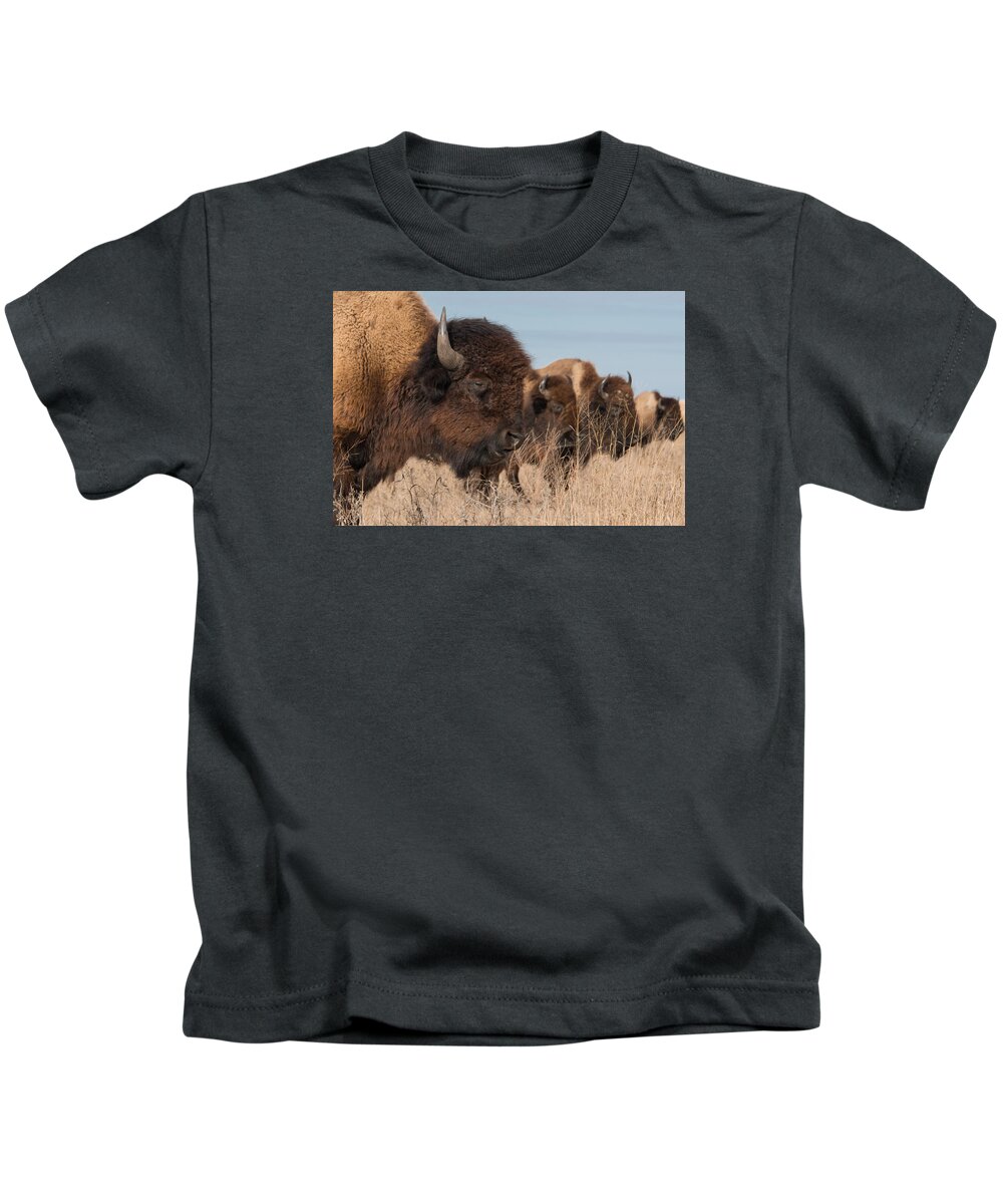 Buffalo Kids T-Shirt featuring the photograph Tallgrass Prairie Buffalo by Bert Peake