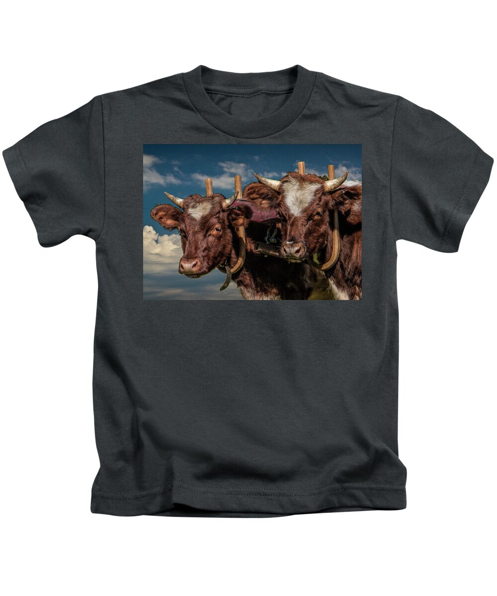 Cattle Kids T-Shirt featuring the photograph Team of Oxen by Randall Nyhof