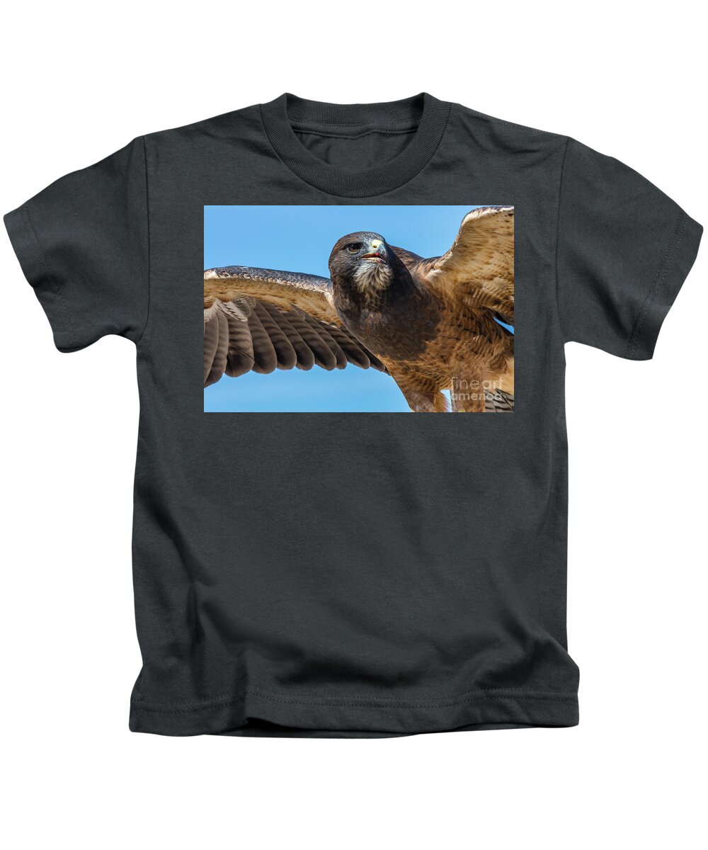 Kaylyn Franks Kids T-Shirt featuring the photograph The Kill Wildlife Art by Kaylyn Franks by Kaylyn Franks