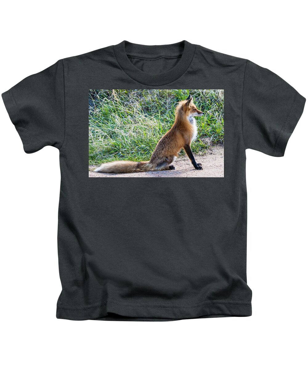 Red Fox Kids T-Shirt featuring the photograph The Lookout by Mindy Musick King
