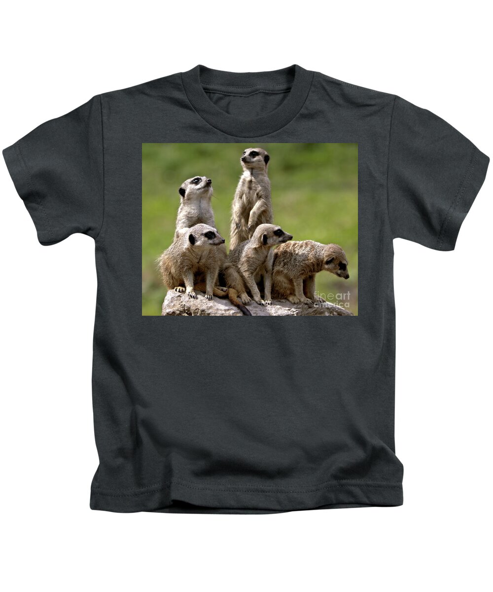 Animal Kids T-Shirt featuring the photograph The Management by Stephen Melia