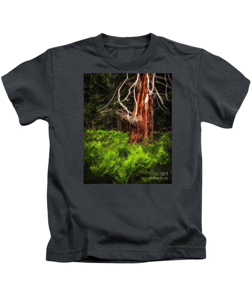 Yosemite Kids T-Shirt featuring the photograph The Old Tree by Anthony Michael Bonafede