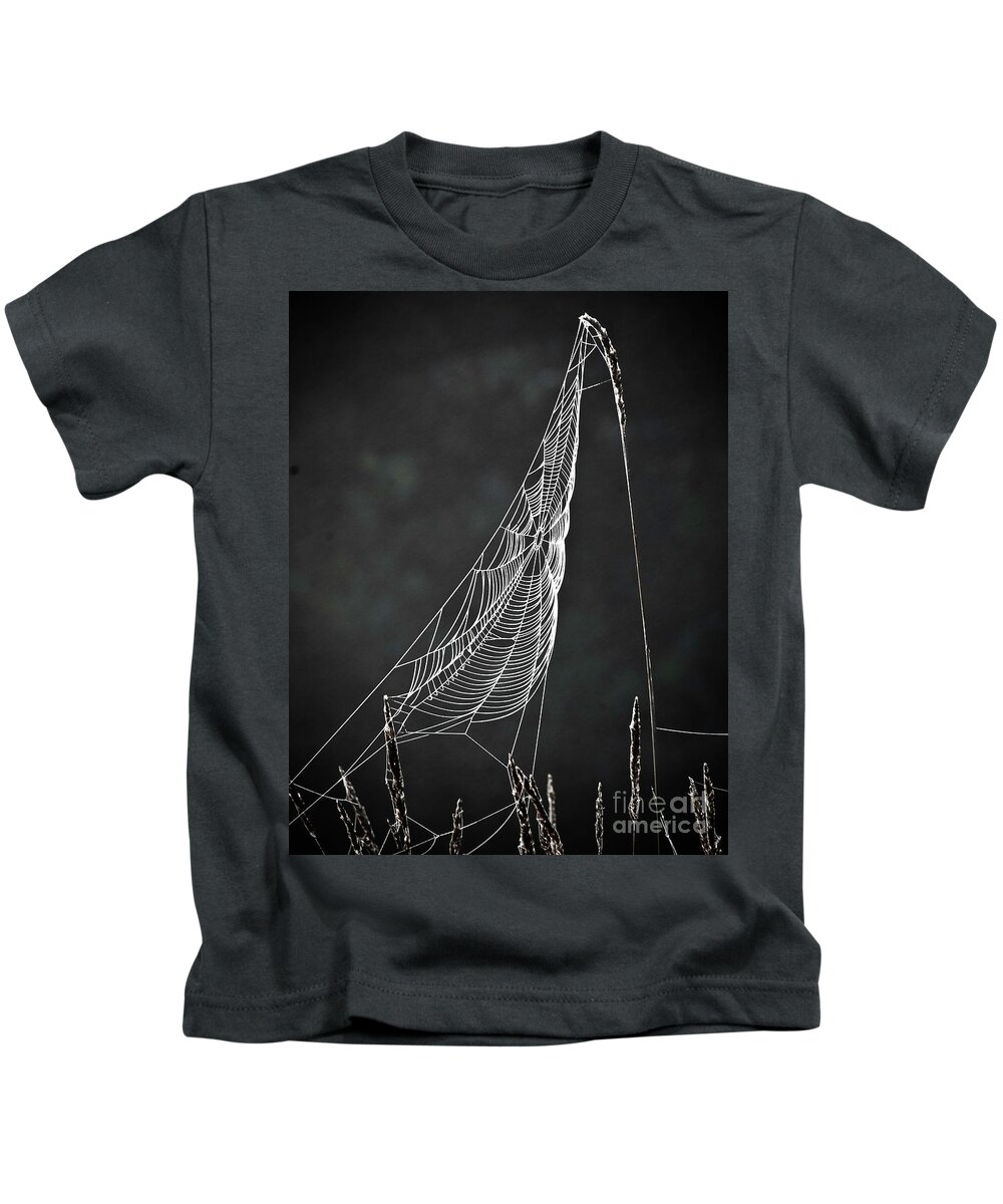 Web Kids T-Shirt featuring the photograph The Web by Tom Cameron