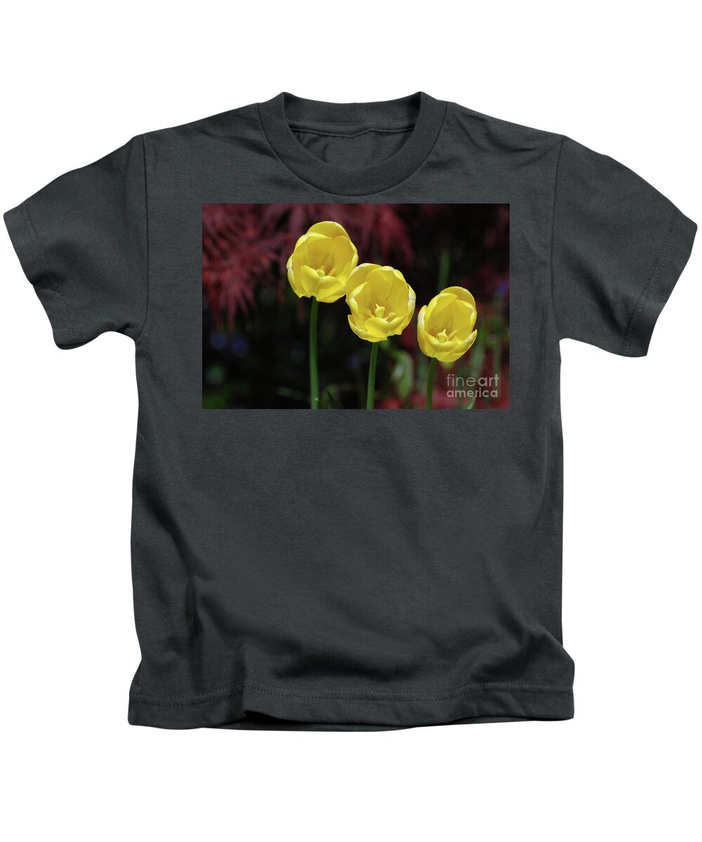 Tulip Kids T-Shirt featuring the photograph Three Blooming Yellow Tulips of Different Heights by DejaVu Designs