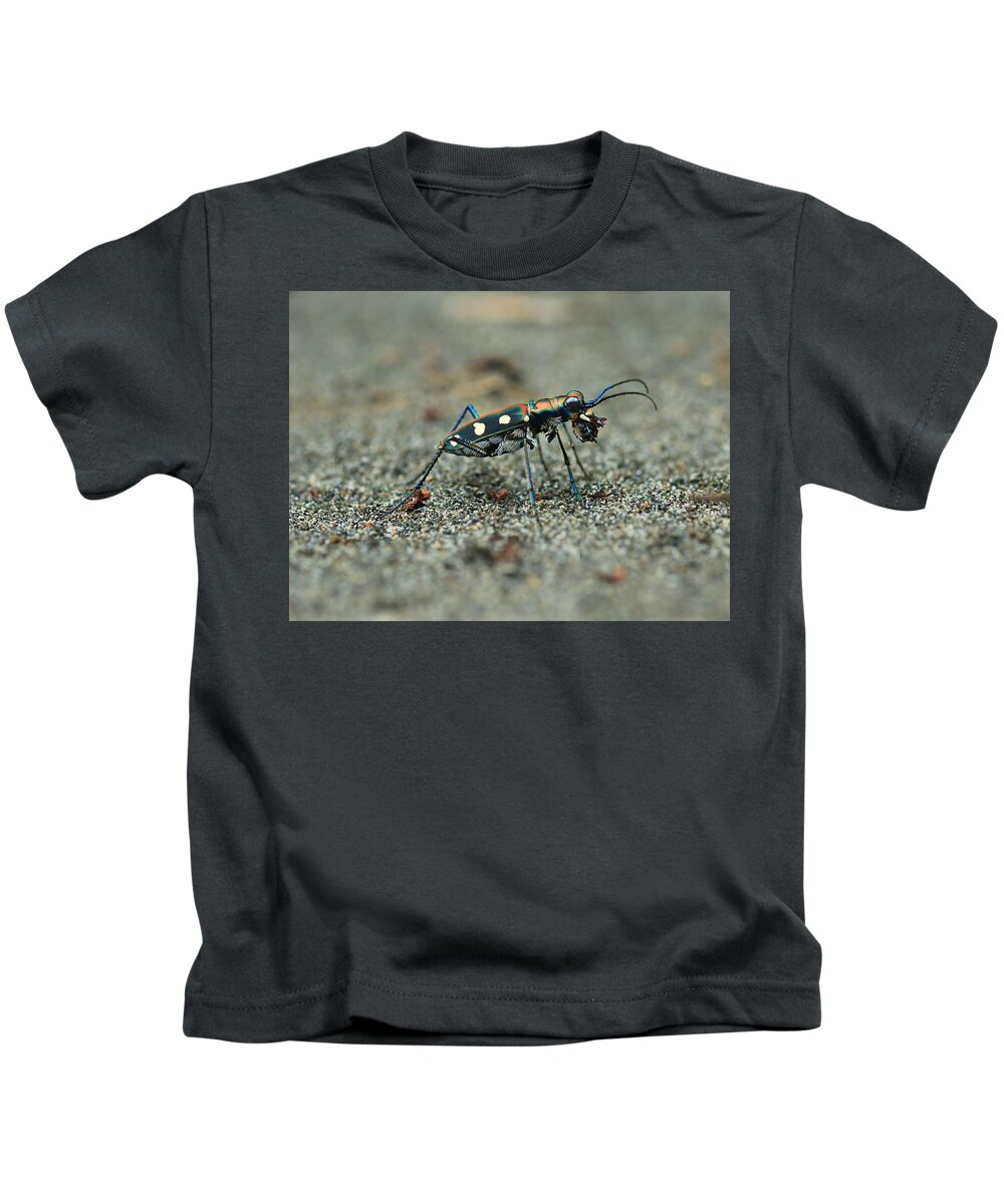 Tiger Beetle Kids T-Shirt featuring the photograph Tiger Beetle Breakfast by Djoko Widodo