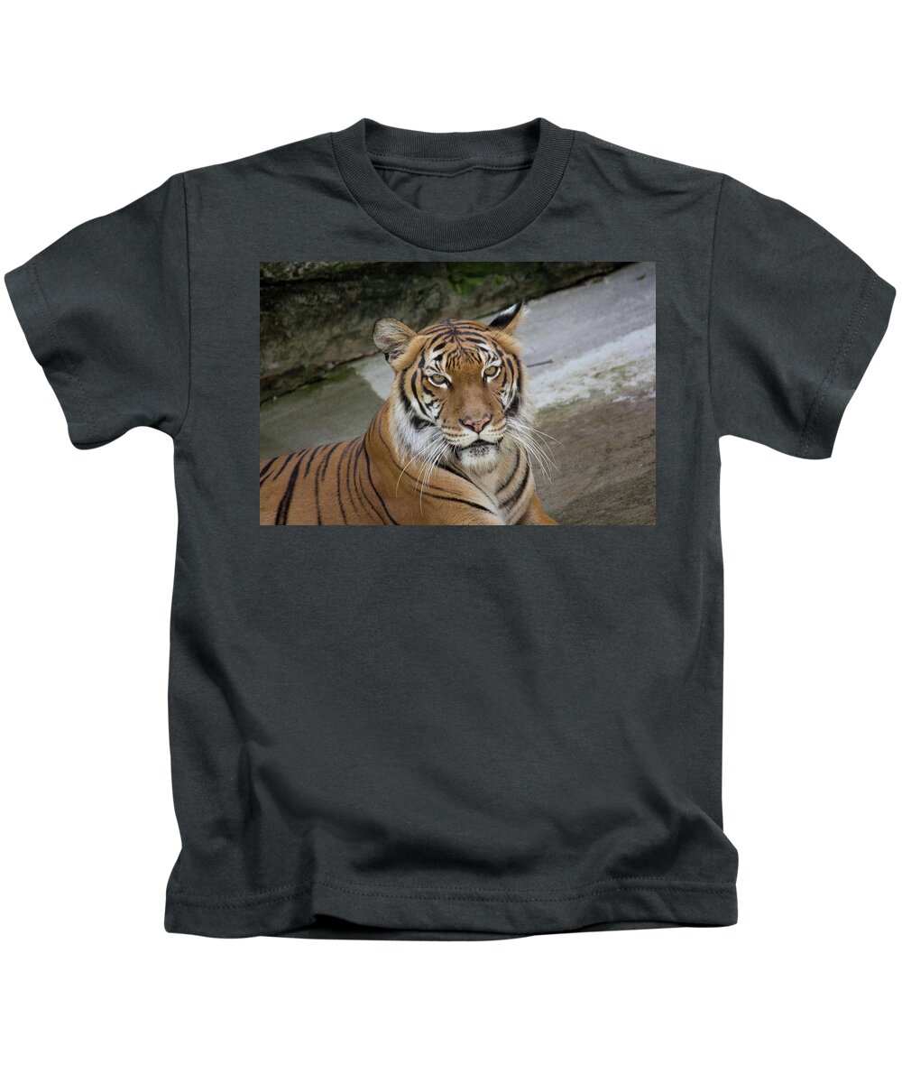 Tiger Kids T-Shirt featuring the photograph Tiger Tiger by John Black