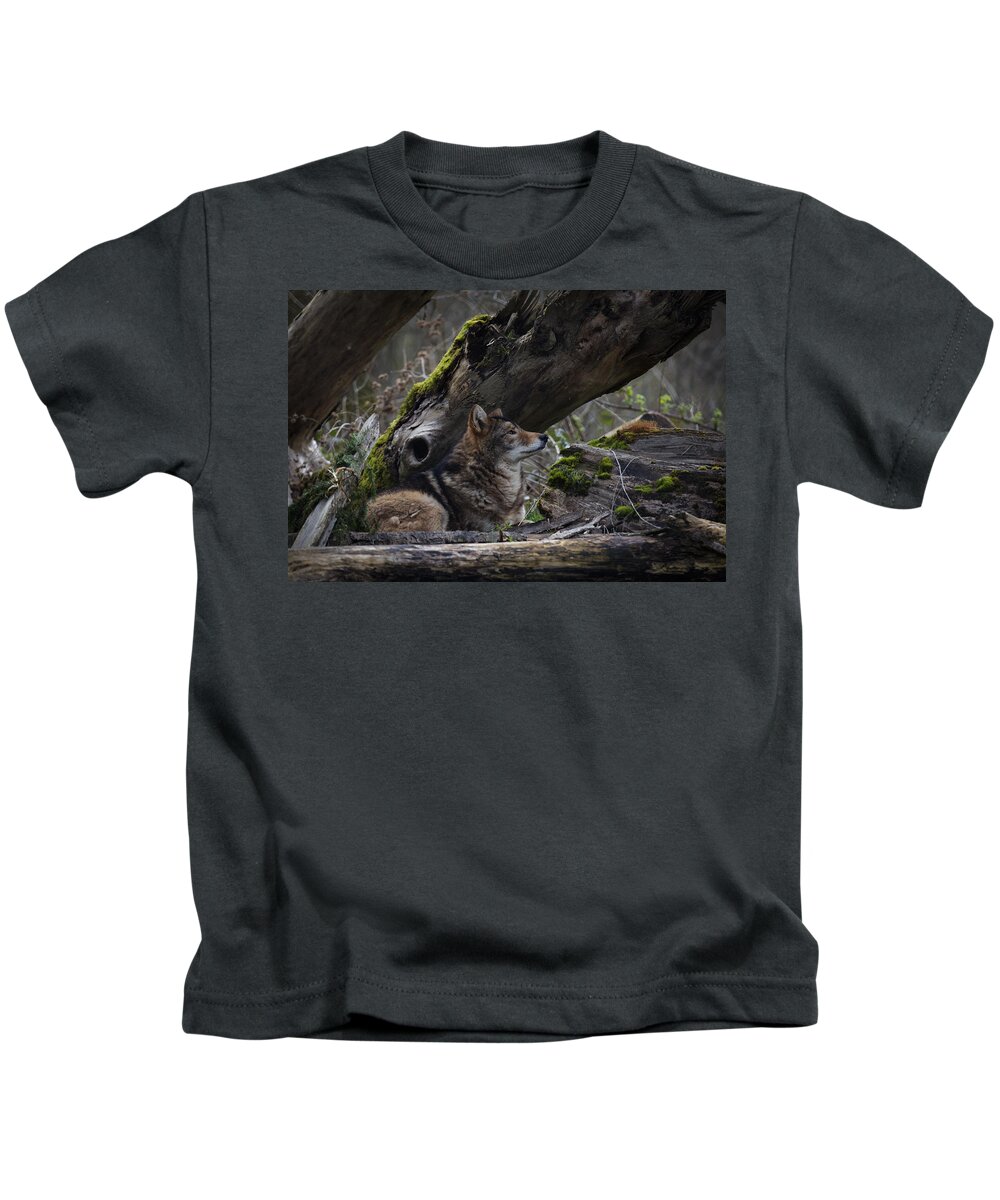 Timber Wolf Kids T-Shirt featuring the photograph Timber Wolf by Randy Hall