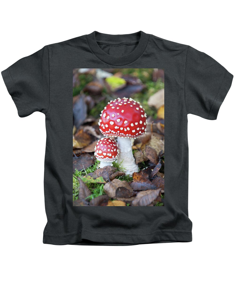 Helen Northcott Kids T-Shirt featuring the photograph Toadstools in the Woods vi by Helen Jackson