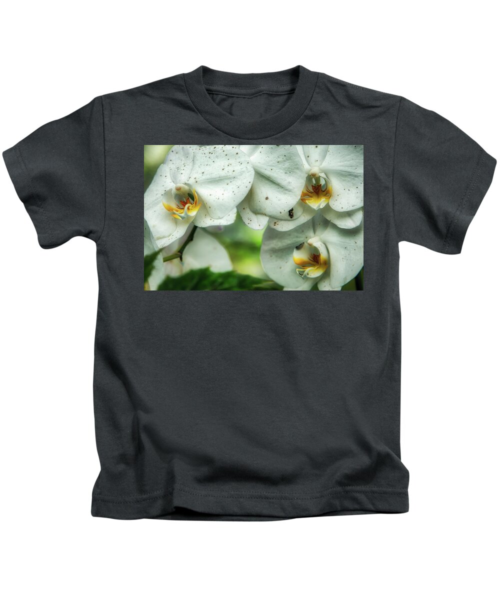 Hdr Kids T-Shirt featuring the photograph Toronto Orchids by Ross Henton