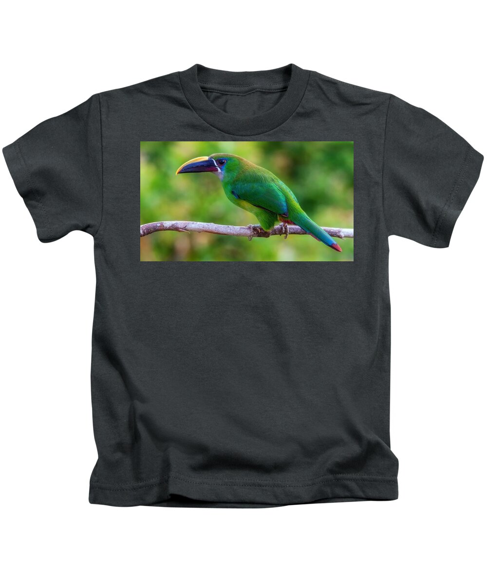 Toucan Kids T-Shirt featuring the photograph Toucan by Jackie Russo