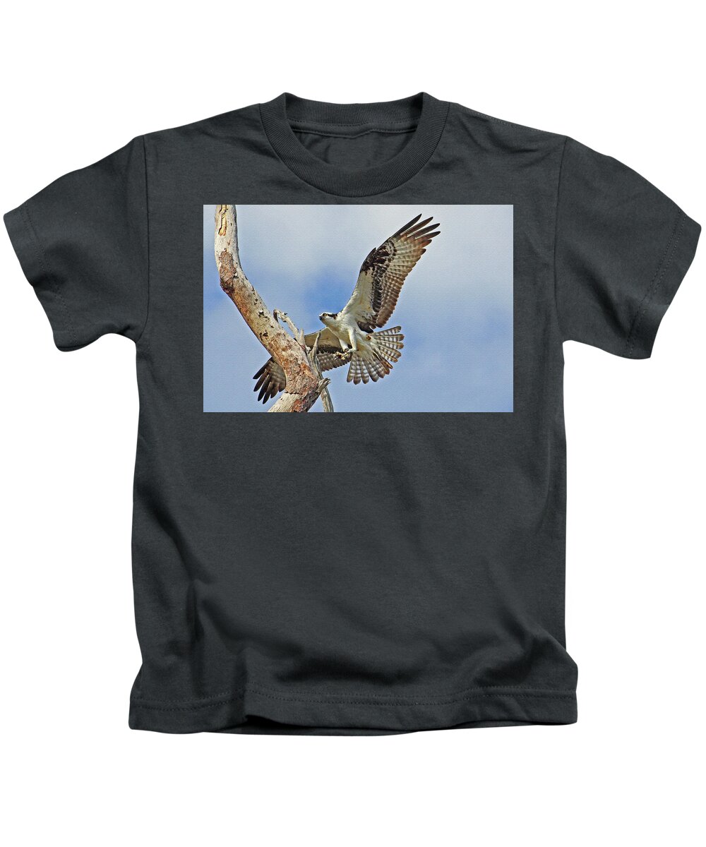 Osprey Kids T-Shirt featuring the photograph Touch Down - Osprey In Flight by HH Photography of Florida
