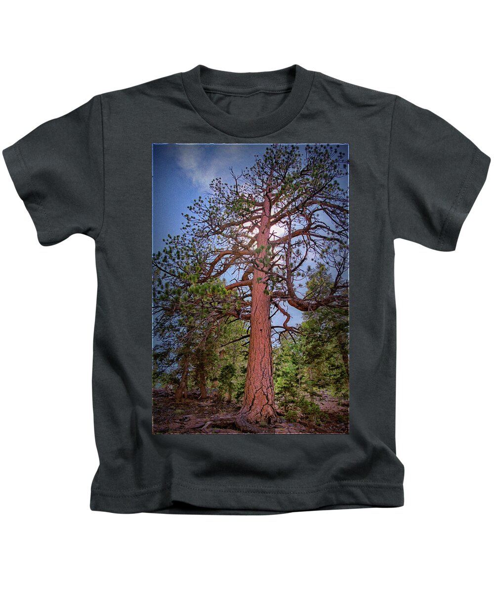 Tree Kids T-Shirt featuring the photograph Tree Cali by Paul Vitko
