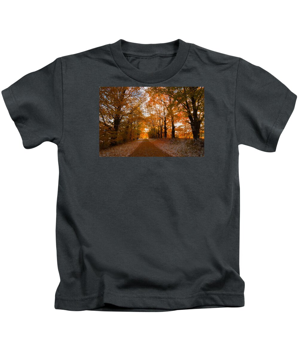 Trees Kids T-Shirt featuring the photograph Tunnel Through Morning Backlight by Tim Kirchoff
