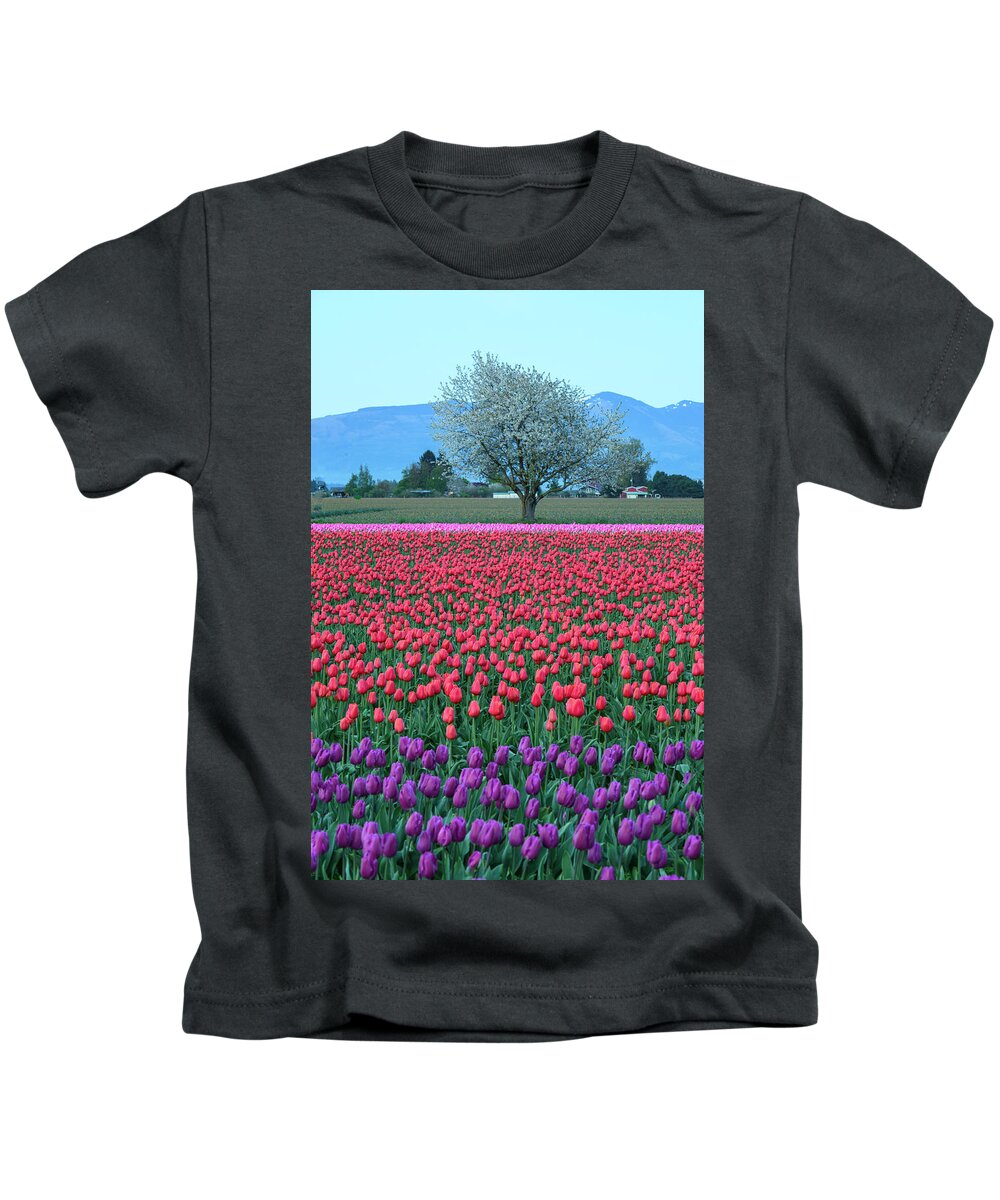 Skagit Kids T-Shirt featuring the digital art Twilight in Skagit Valley by Michael Lee