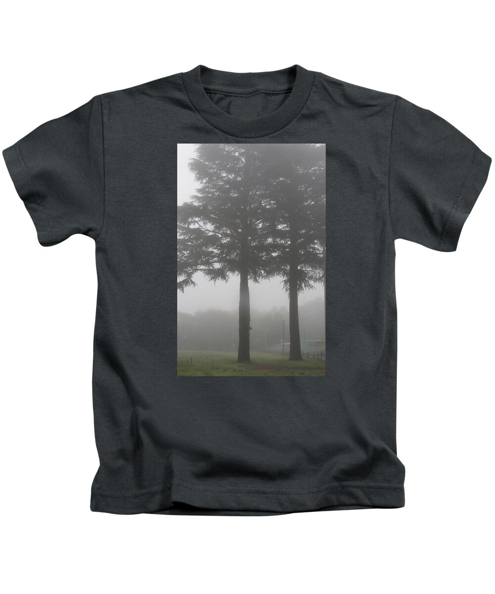 Morning Kids T-Shirt featuring the photograph Twin Trees by Masami Iida