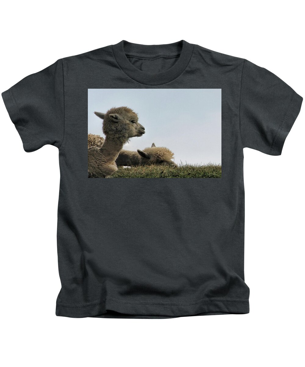 Two Kids T-Shirt featuring the photograph Two Alpaca by Pat Cook