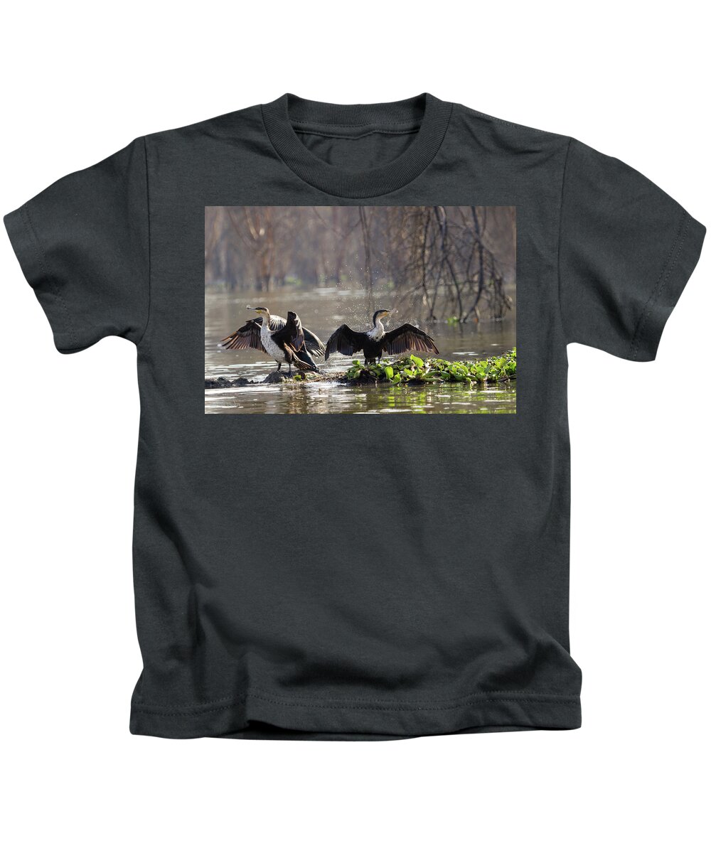 Cormorants Kids T-Shirt featuring the photograph Two Cormorants by Aashish Vaidya