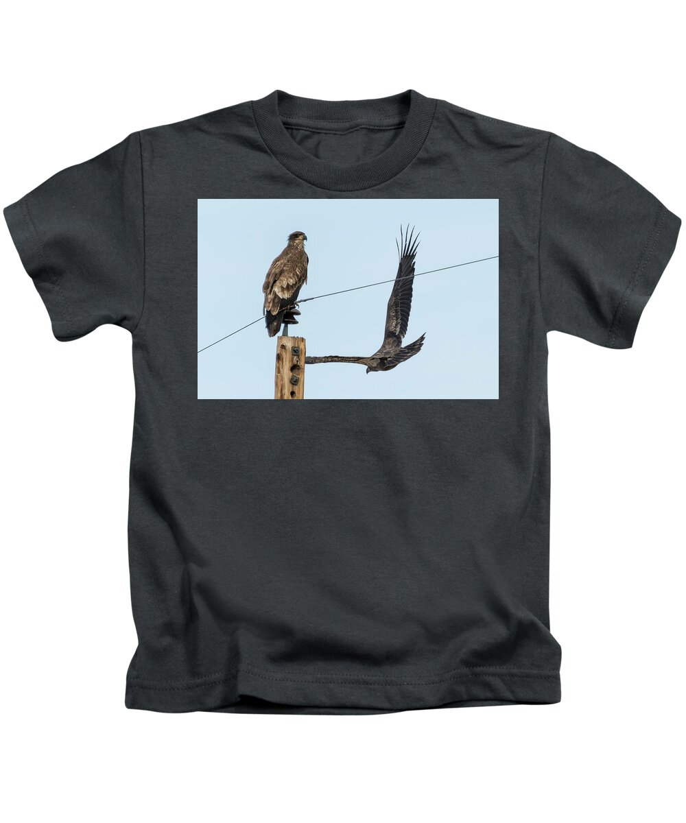 Juvenile Bald Eagle Kids T-Shirt featuring the photograph Two Views of a Juvenile Bald Eagle by Belinda Greb