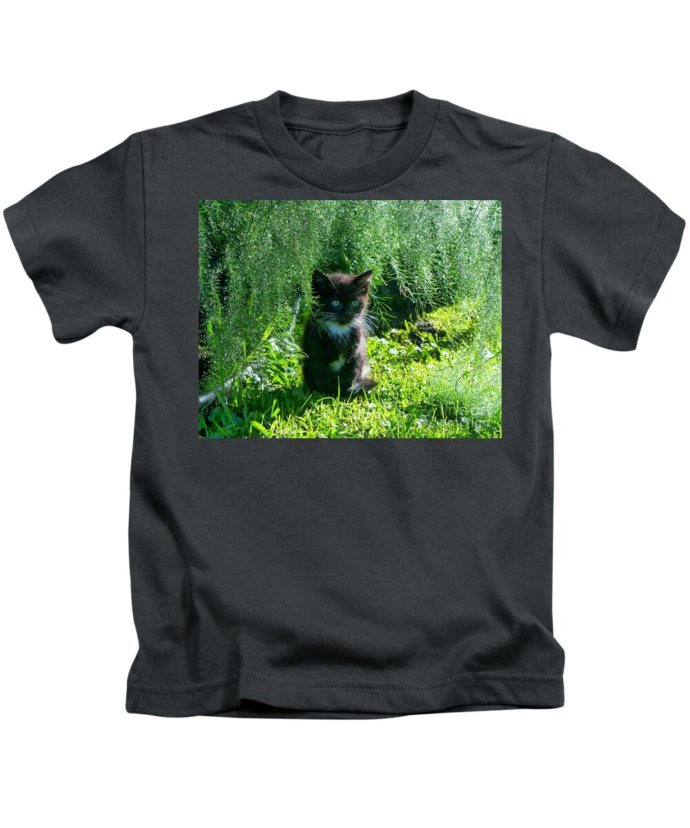 Black And White Kitten Kids T-Shirt featuring the photograph Kitten Under the Asparagus Ferns by Rosanne Licciardi