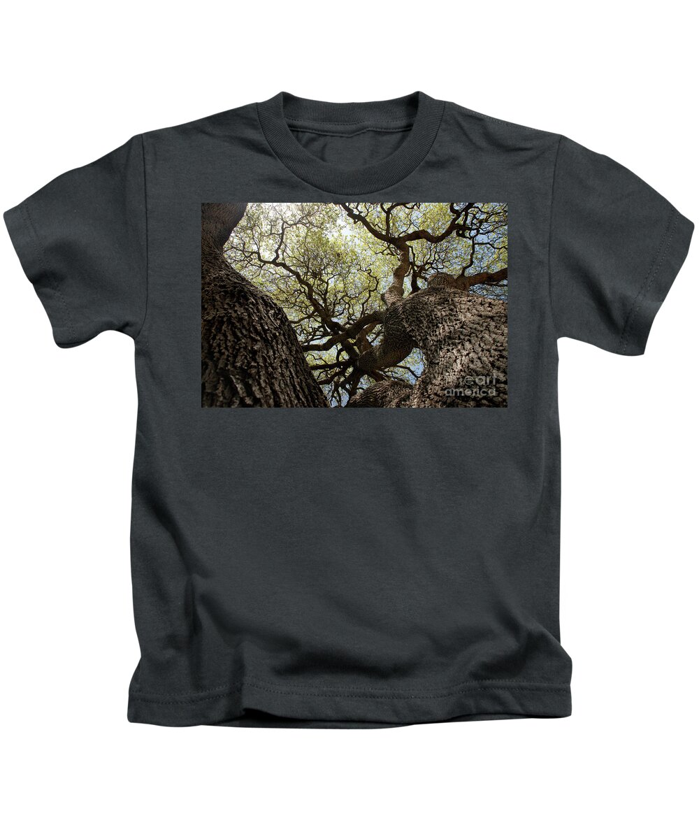 Pioneerpark Kids T-Shirt featuring the photograph Valley Oak by Dean Birinyi
