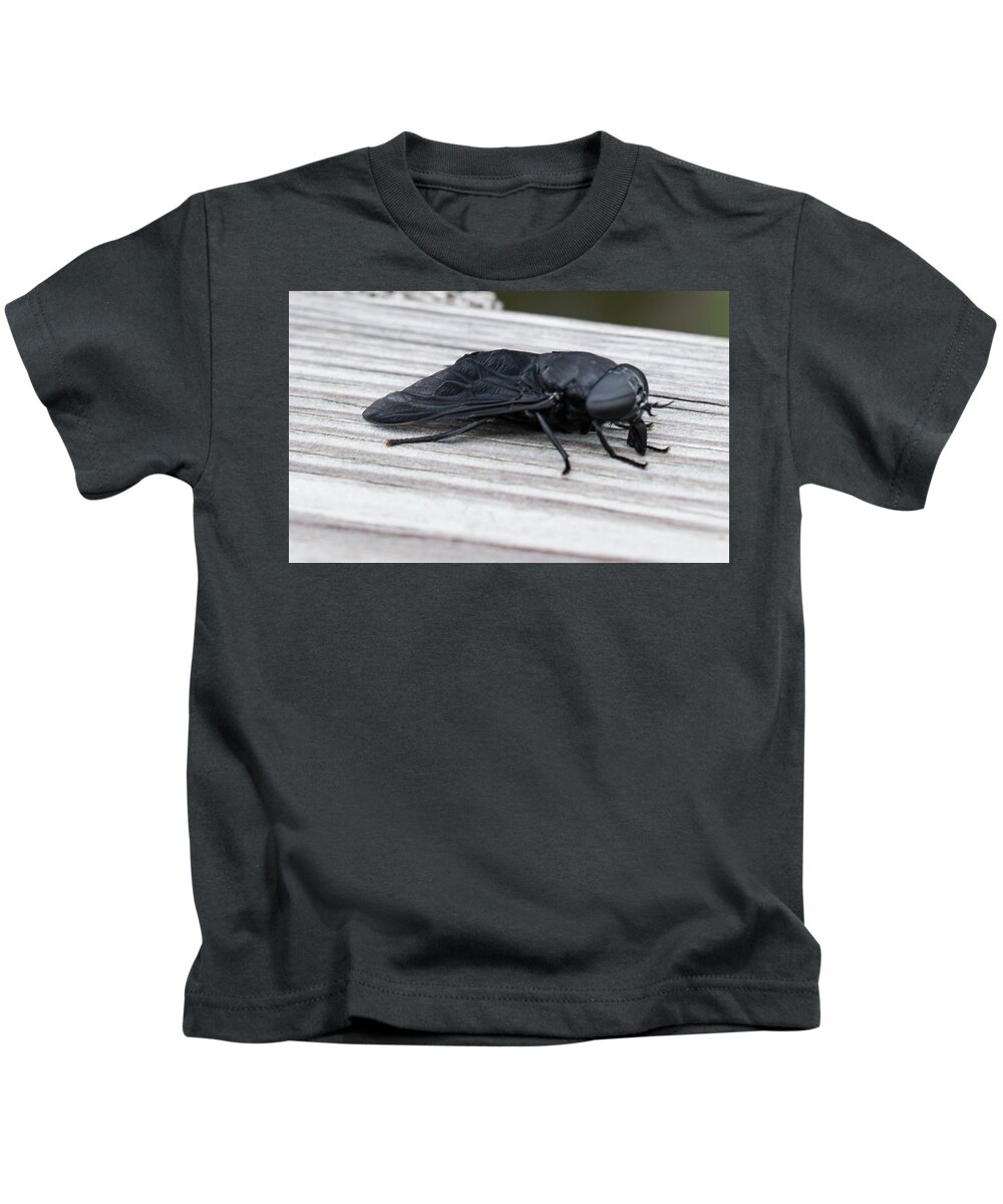 Horsefly Kids T-Shirt featuring the photograph Vincent Price or Jeff Goldblum? by Peter Ponzio