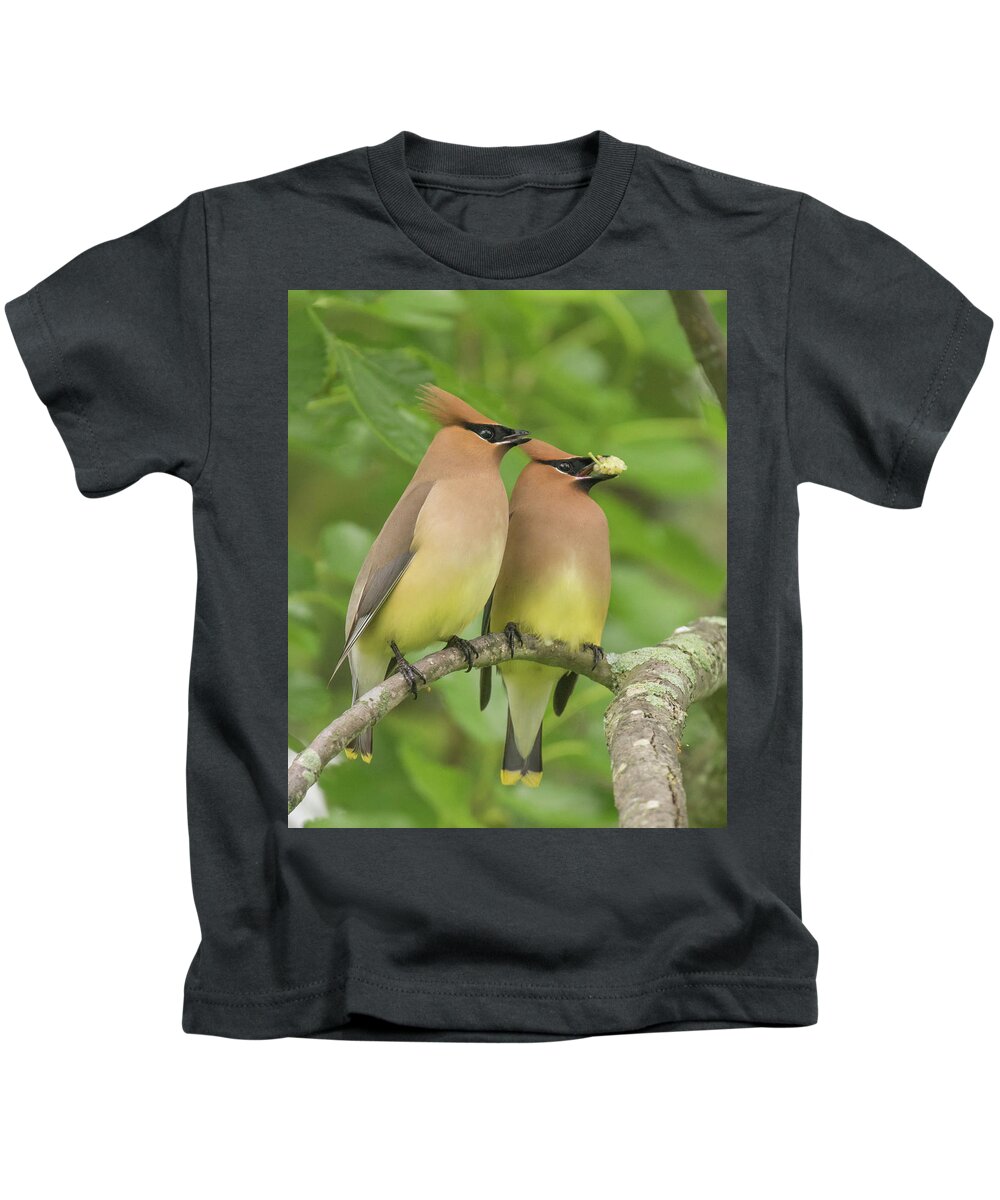 Bird Kids T-Shirt featuring the photograph Virginia is for Lovers by Jody Partin