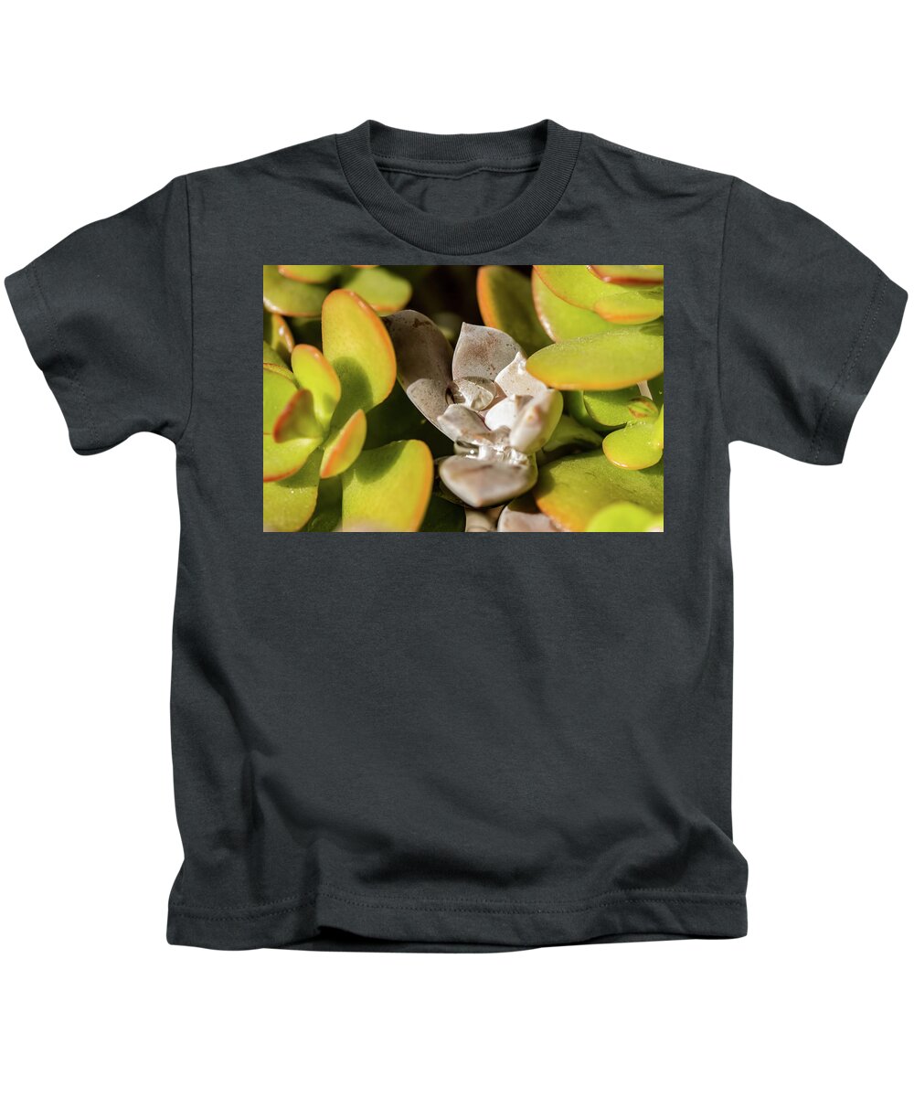 Cactus Kids T-Shirt featuring the photograph Water by Richard Goldman