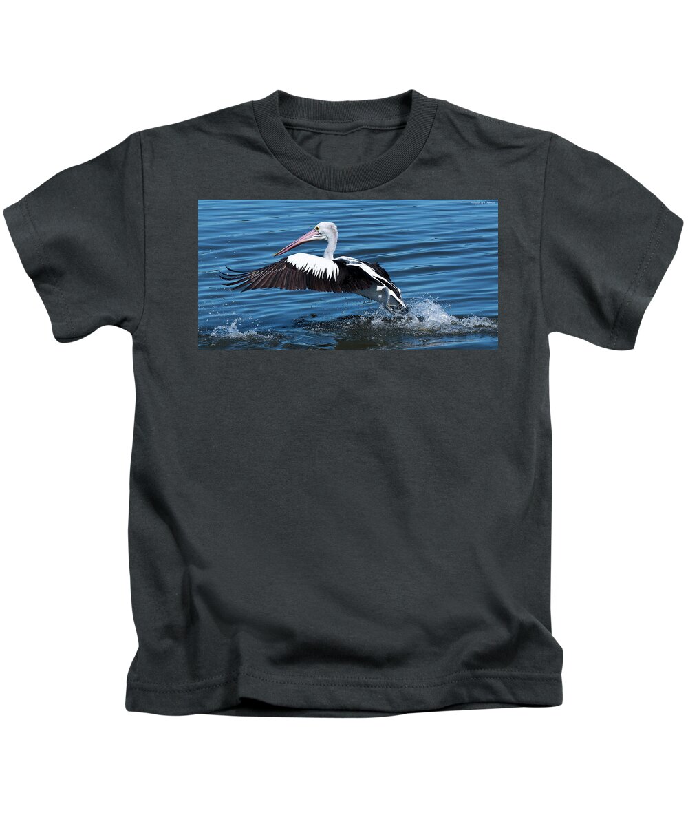 Pelicans Kids T-Shirt featuring the photograph We have lift off 01 by Kevin Chippindall