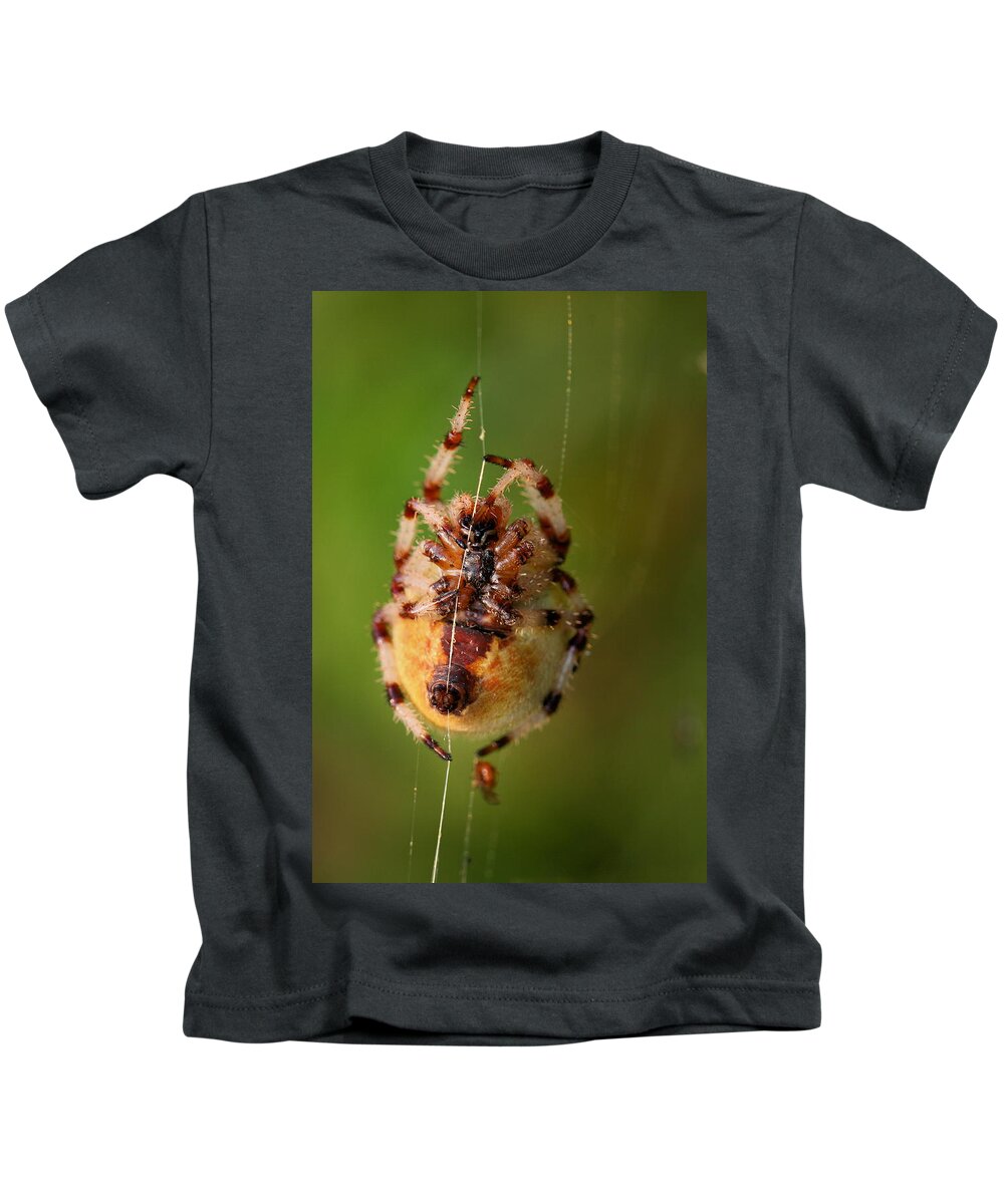 Web Kids T-Shirt featuring the photograph Web Work by Angela Rath