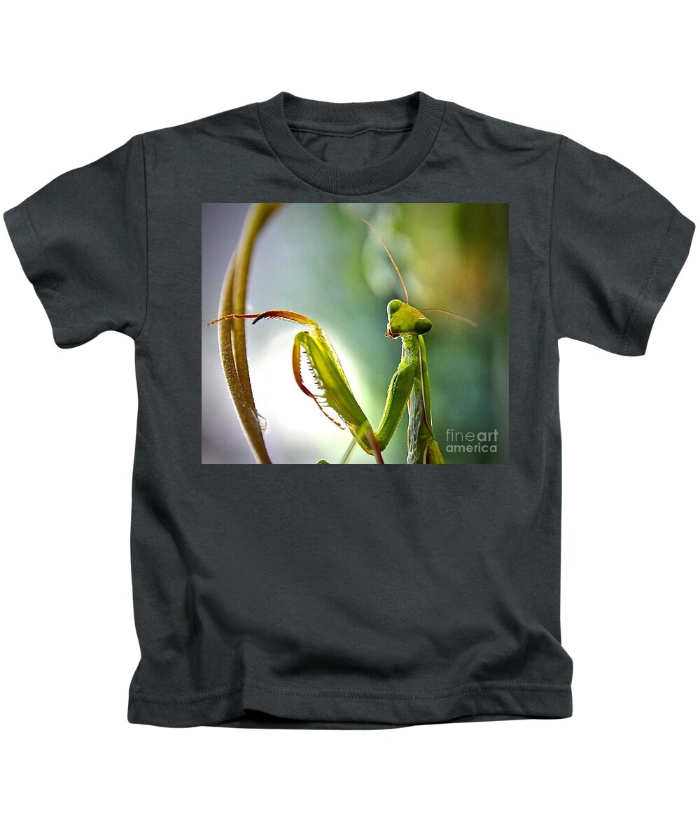 Praying Mantes Kids T-Shirt featuring the photograph What A Look by Elisabeth Derichs
