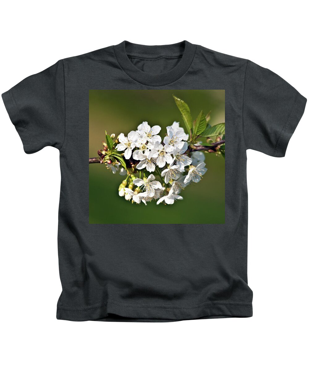 White Apple Blossoms Kids T-Shirt featuring the photograph White Apple Blossoms by Silva Wischeropp