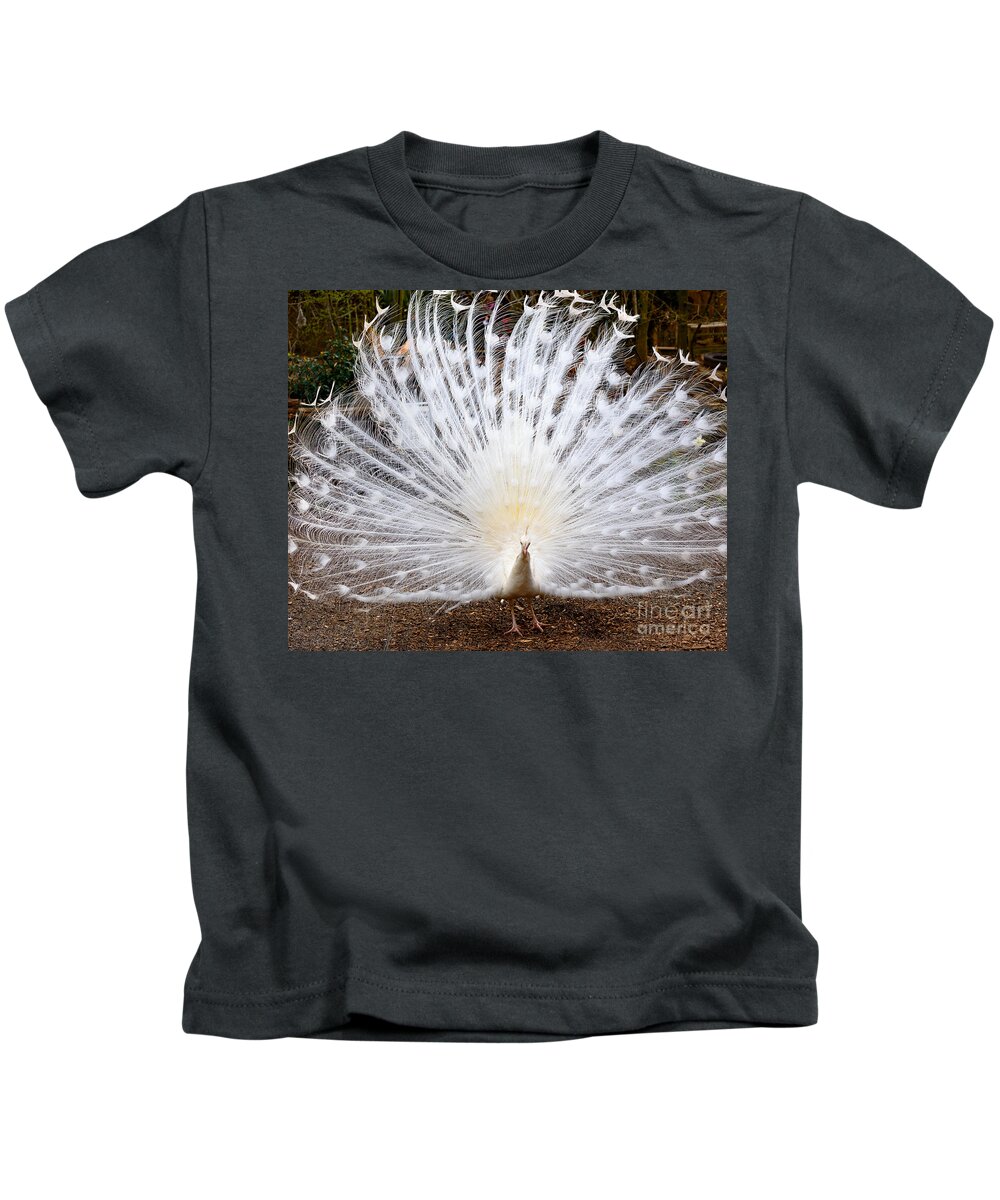 Animals Kids T-Shirt featuring the photograph White Peacock by Colin Rayner