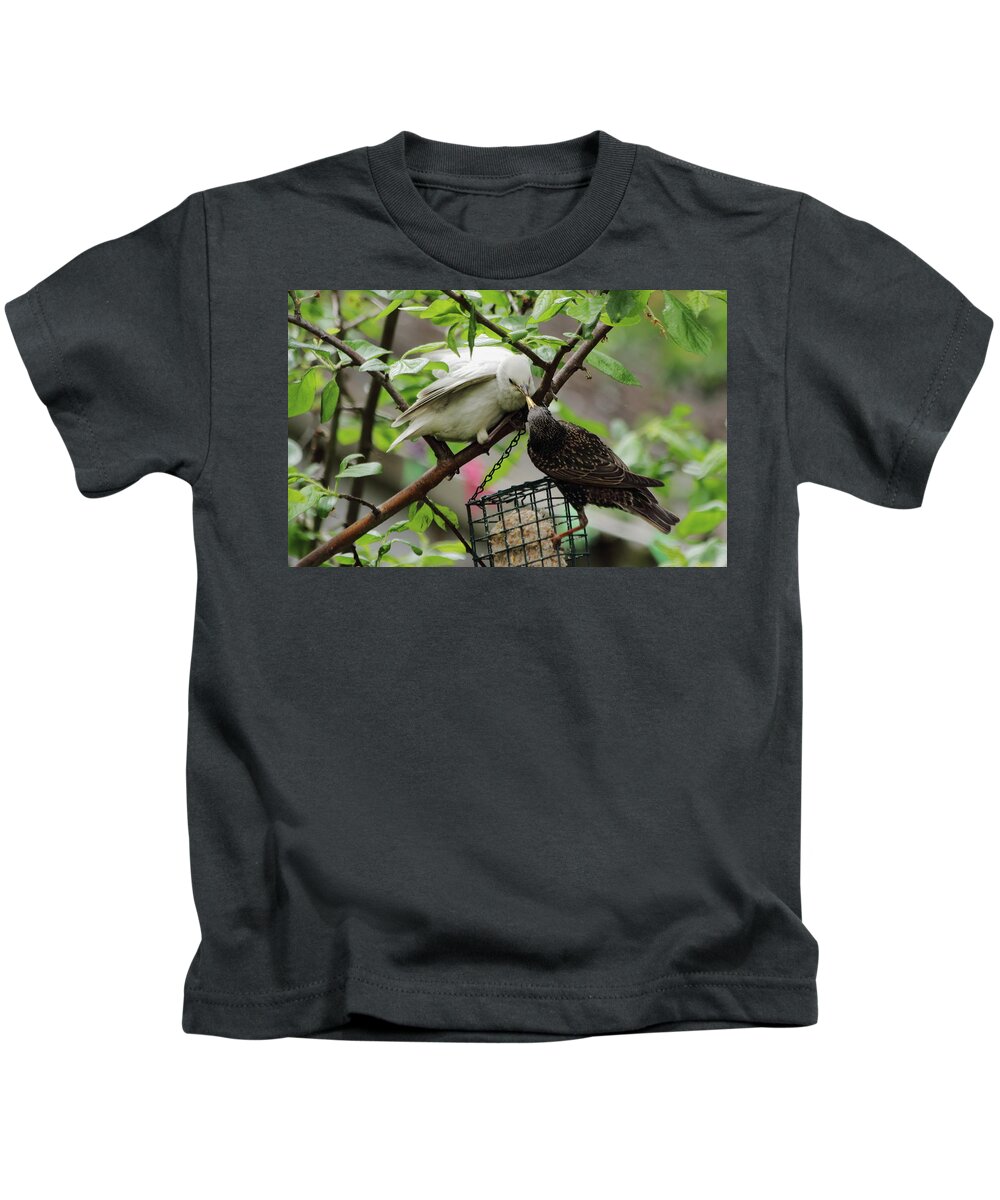 Birds Bird Starling White Albino Feeding Branch Nature Wildlife Garden Ornithology Feeder Kids T-Shirt featuring the photograph White Starling being Fed by Jeff Townsend