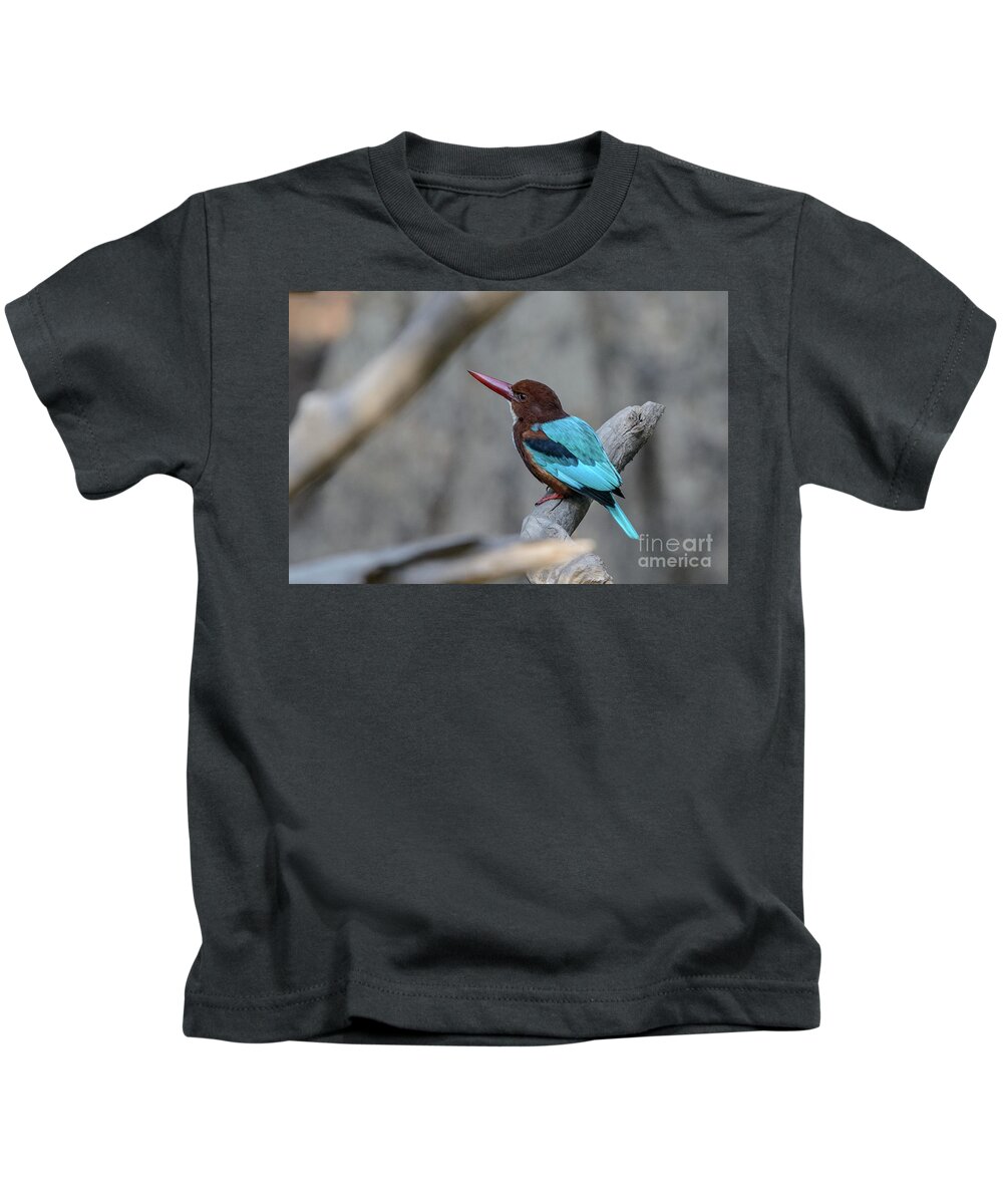 Bird Kids T-Shirt featuring the photograph White-throated Kingfisher 02 by Werner Padarin