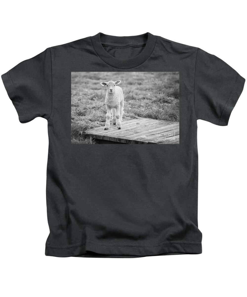 Sheep Kids T-Shirt featuring the photograph Williamsburg Lamb by Lara Morrison