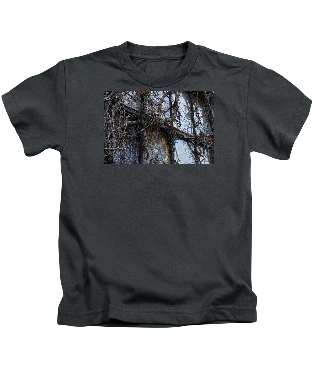 Abstract Kids T-Shirt featuring the photograph Windows of Demise by Steve L'Italien