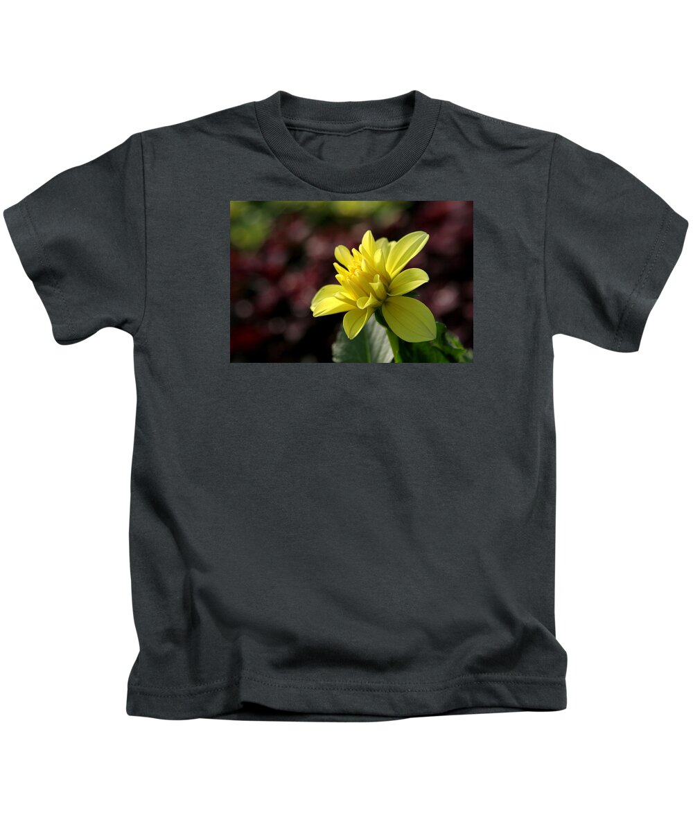 Flower Kids T-Shirt featuring the photograph Yellow bloom by Robert Och