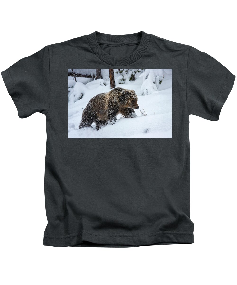 Mark Miller Photos Kids T-Shirt featuring the photograph Young Grizzly in Blizzard by Mark Miller