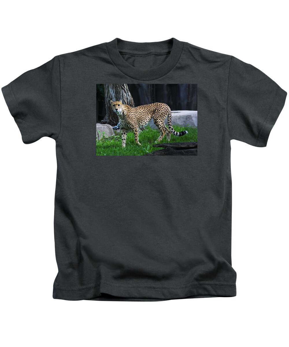 Zoo Kids T-Shirt featuring the photograph z by Jean Wolfrum