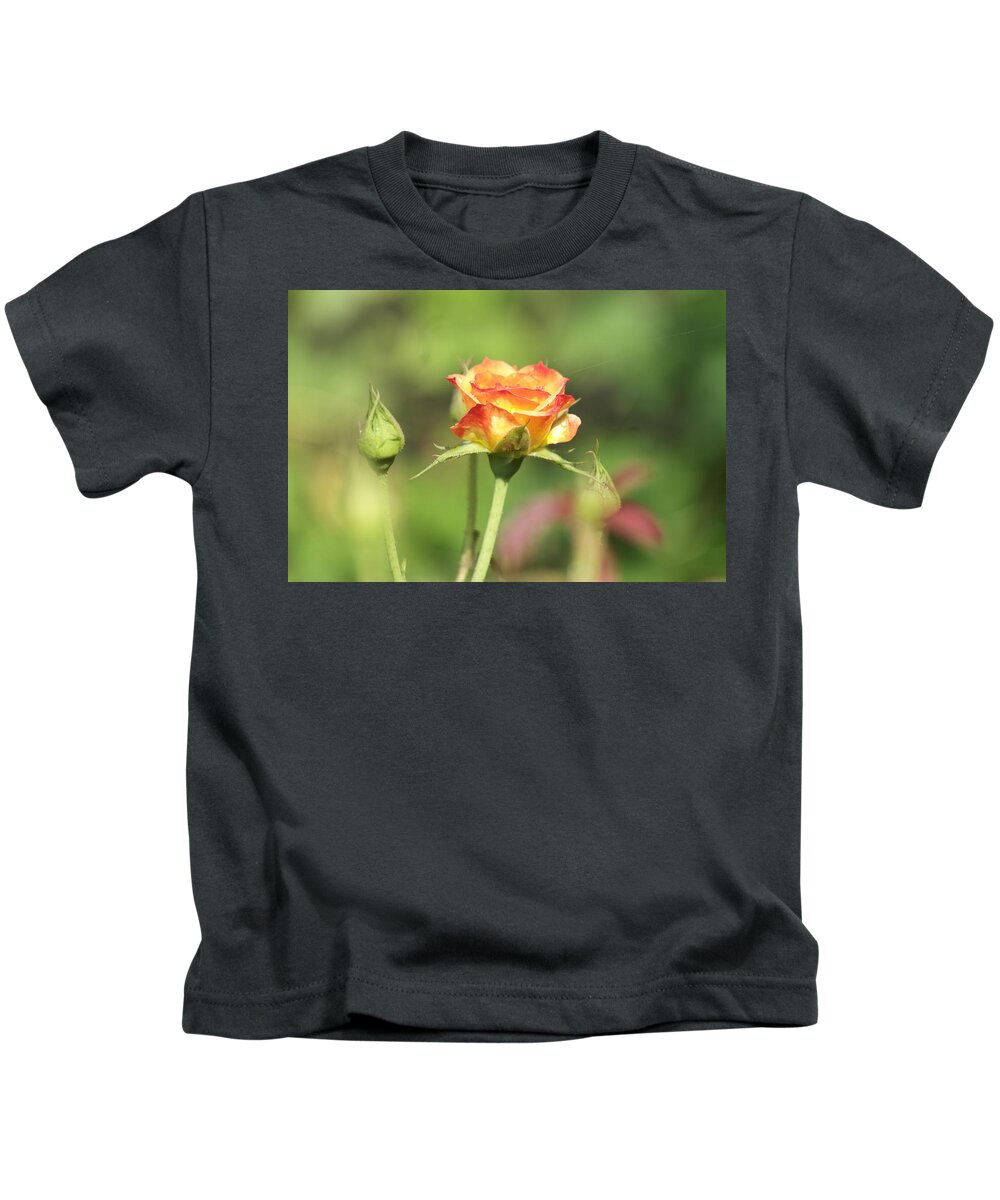 Beautiful Rose Kids T-Shirt featuring the photograph Beautiful Rose #1 by Atul Kolte