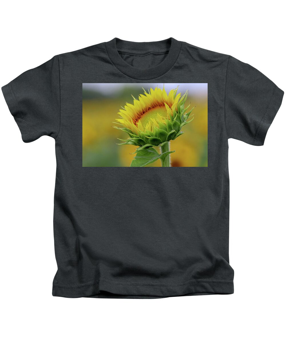 Sunflower Kids T-Shirt featuring the photograph Before Full Bloom by Mary Anne Delgado