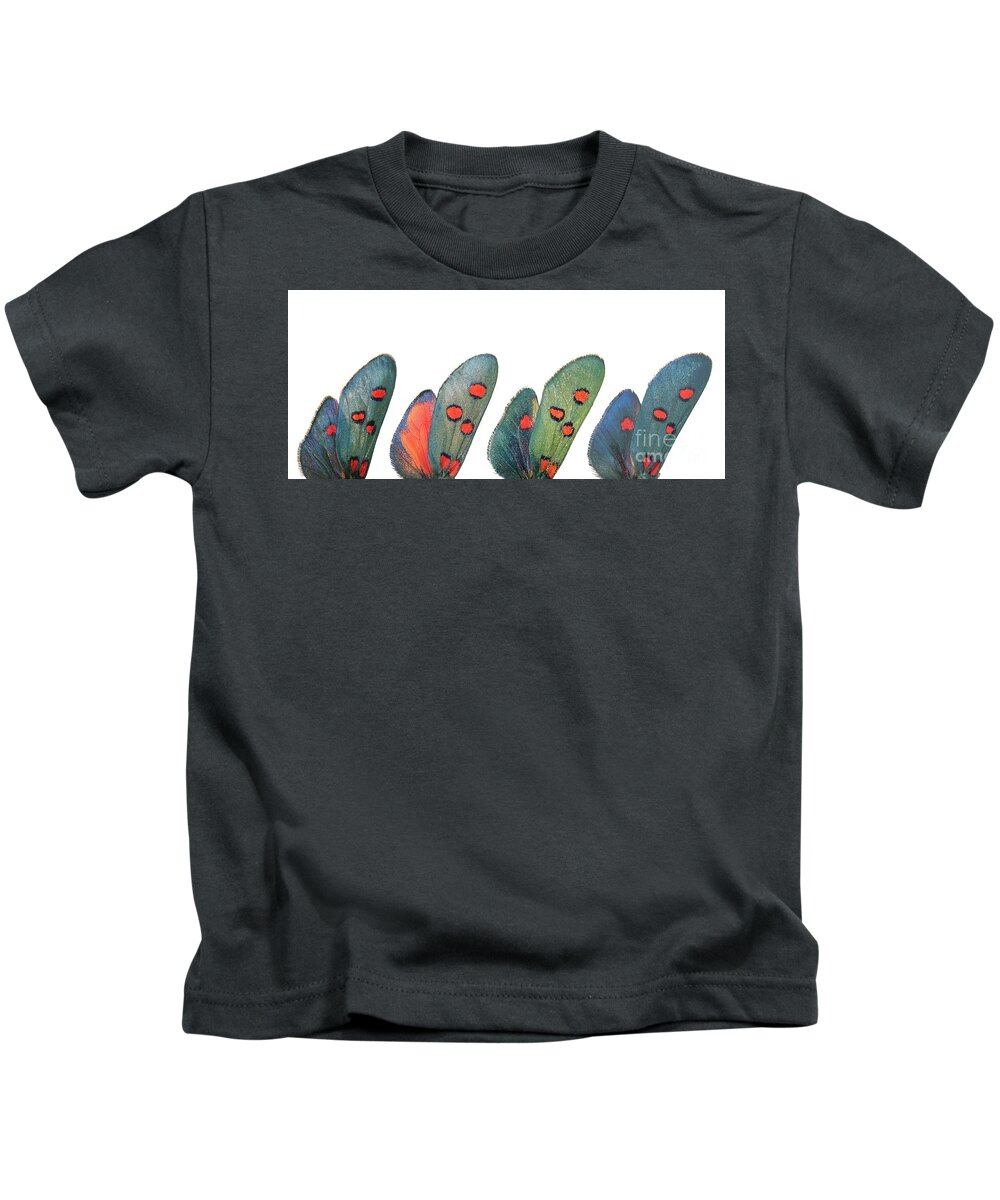 Specimen Kids T-Shirt featuring the photograph Burnet moth wings by Martinez Clavel