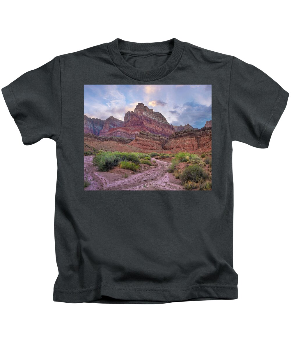 00574850 Kids T-Shirt featuring the photograph Desert And Cliffs, Vermilion Cliffs by Tim Fitzharris