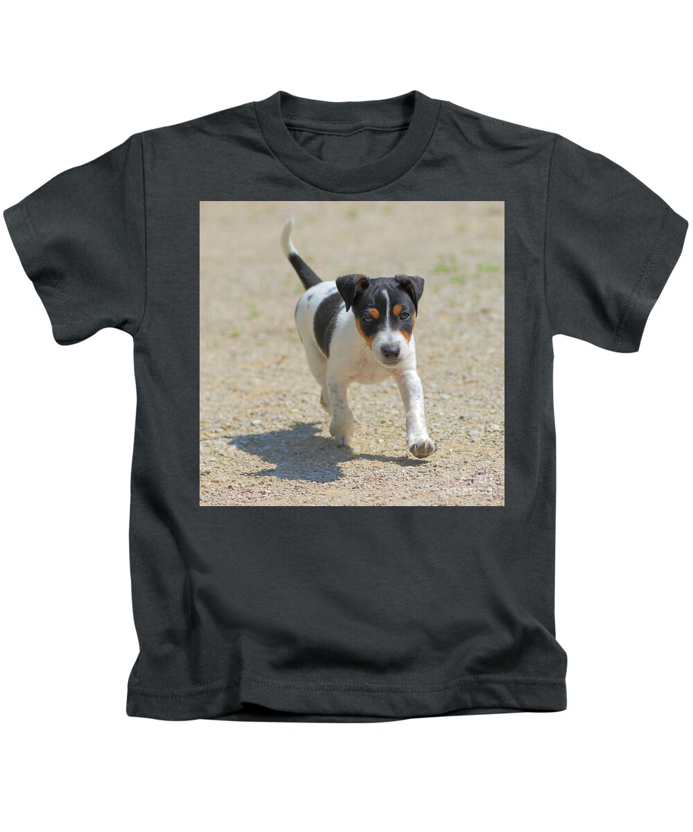 Jack-russell terrier puppy running Kids T-Shirt by Gregory DUBUS