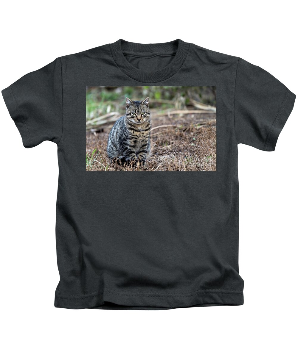 Cat Kids T-Shirt featuring the photograph Mr Grumpy #1 by Sam Rino