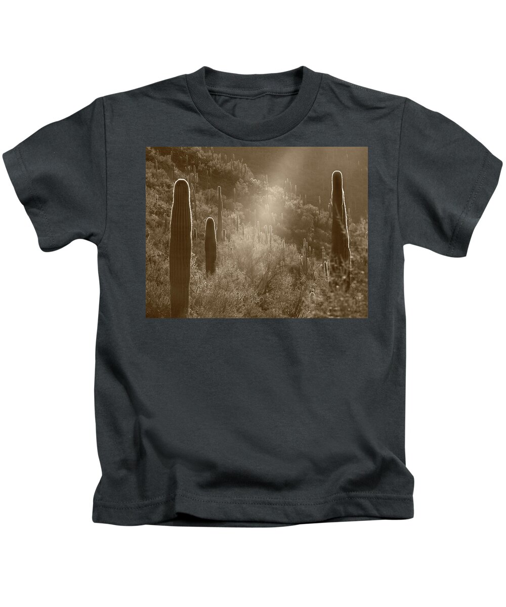 Disk1216 Kids T-Shirt featuring the photograph Sunbean And Saguaros #1 by Tim Fitzharris